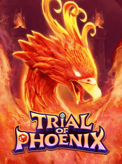 333bd new game